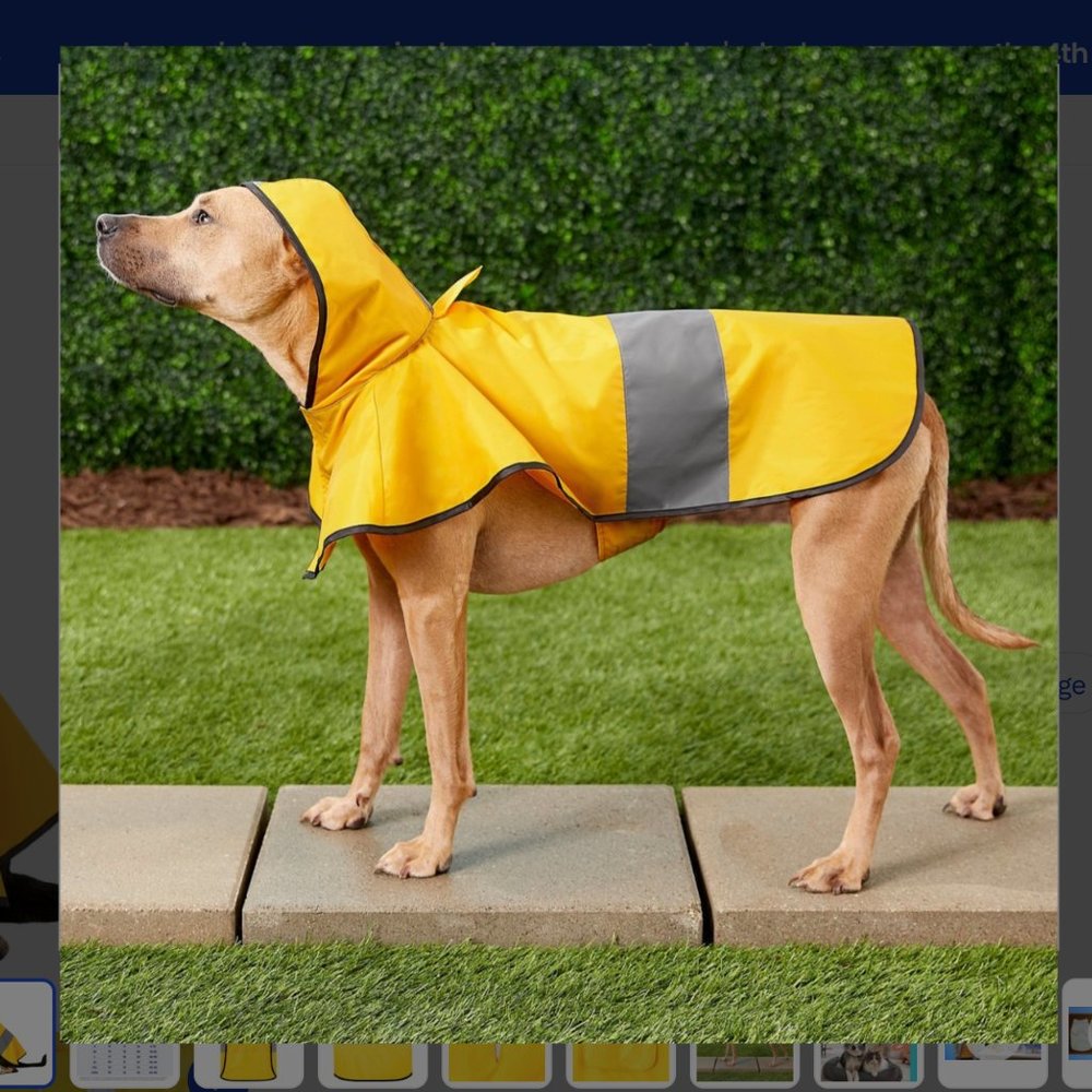 Frisco Rainy Days Dog Raincoat Size LARGE